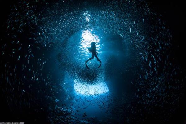 如何画简笔画呈现东京奥运会体育项目